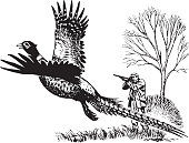 istock View of hunter shooting to flying pheasant 1328173952