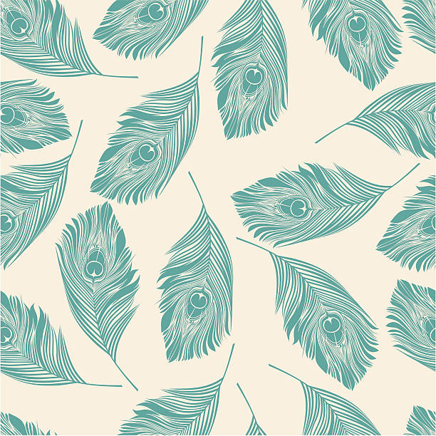 View of peacock pattern on white background Seamless peacock pattern peacock feather stock illustrations
