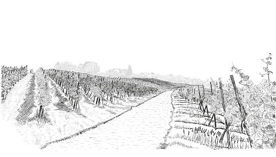 Vineyard landscape farm with building on hill . Hand drawn sketch vector illustration isolated on white