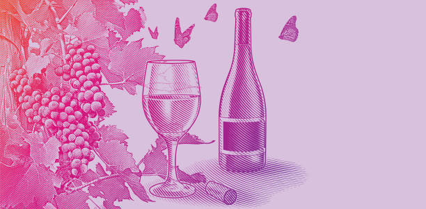 Vineyard wine grapes with bottle and glass of wine Engraved illustration of Vineyard wine grapes with bottle and glass of wine pink monarch butterfly stock illustrations