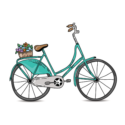 Vintage bicycle vector illustration. Hand drawn bicycle with basket