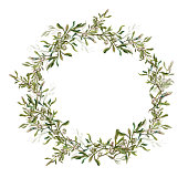 Watercolor mistletoe wreath isolated on white background. Traditional vintage Christmas laurel of evergreen winter plants and berries. Great for greeting cards and holiday decoration.