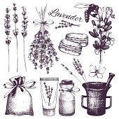 Vector set of ink hand drawn lavender illustration in lilac color.