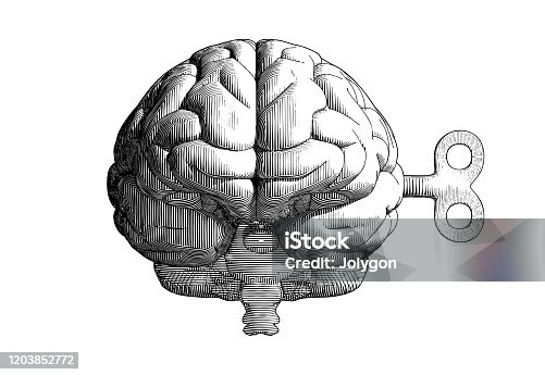 istock Vintage drawing brain and wind up key on white BG 1203852772