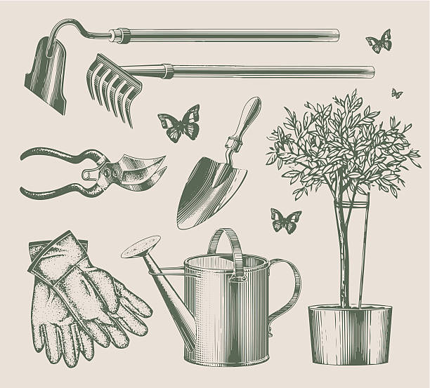 Vintage garden equipments Vintage lithography styled garden equipments. EPS10 vector illustration. watering can stock illustrations