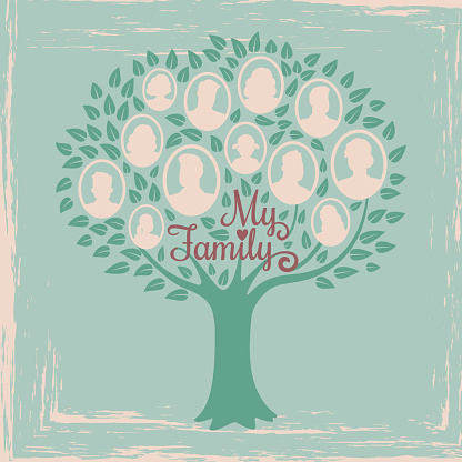 Vintage genealogy tree. Genealogical family tree vector illustration