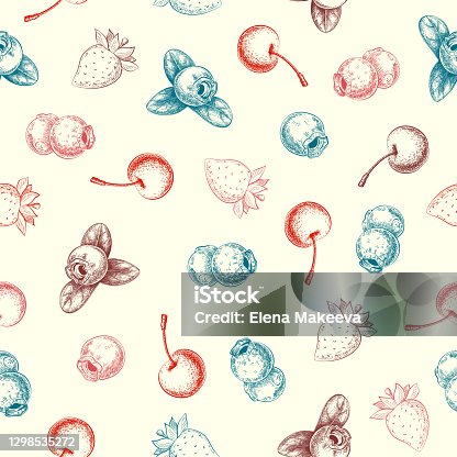 istock vintage hand drawn berries seamless pattern. silhouettes of garden or forest berries endless background. engraved style. Strawberry, blueberry, cherry botanical illustration. summer fruit for design. 1298535272