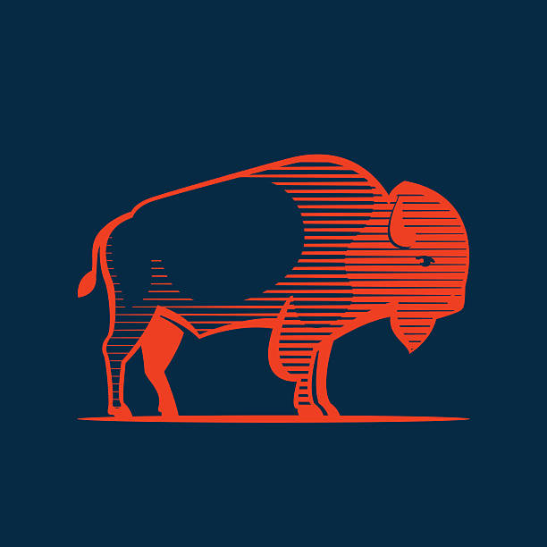 Vintage line Buffalo icon Animal design template elements for your  sport team branding, T-shirt, label, badge, card or illustration. american bison stock illustrations