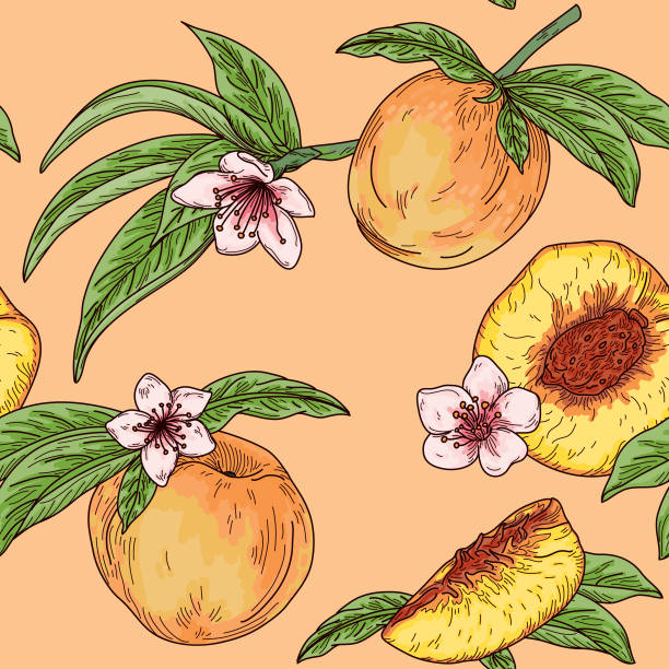 ヴィンテージピーチフルーツツリーブロッサムシームレスパターン - 桃の花点のイラスト素材／クリップアート素材／マンガ素材／アイコン素材