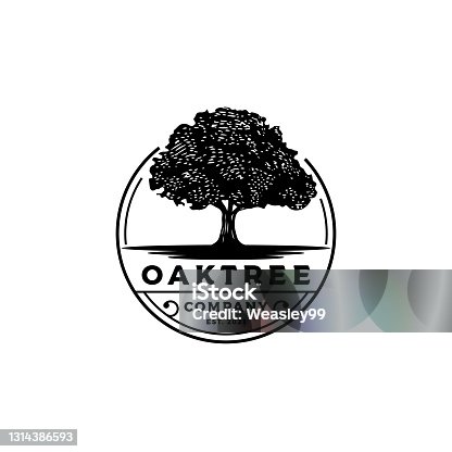 istock Vintage Retro Oak, Banyan, Maple Tree Service Logo Design, vector logo design tamplate stock illustration Oak tree, Vector, Logo, Illustration 1314386593