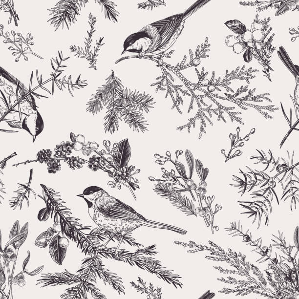 Vintage seamless pattern with birds. Vintage seamless pattern with birds and winter plants. Winter background. Vector botanical illustration. Black and white. bird drawings stock illustrations