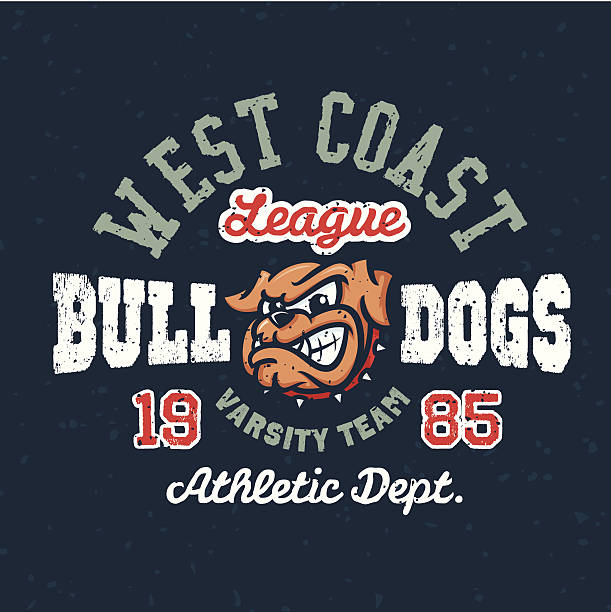 stockillustraties, clipart, cartoons en iconen met vintage sport varsity apparel t-shirt design - bulldog