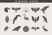 Set of vintage birds icons. Vintage design vector illustration, logo and badge, emblem and insignia, sign and identity, logotype.