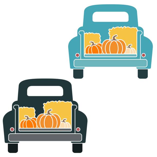 illustrazioni stock, clip art, cartoni animati e icone di tendenza di vintage truck tailgate down w pumpkins illustrazioni vettoriali su bianco - fieno