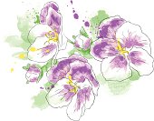 Watercolor illustration of flowers. Fully  vectored artwork. Colors of similar tint are grouped together.