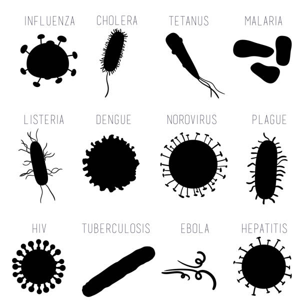 ilustraciones, imágenes clip art, dibujos animados e iconos de stock de conjunto de virus - listeria