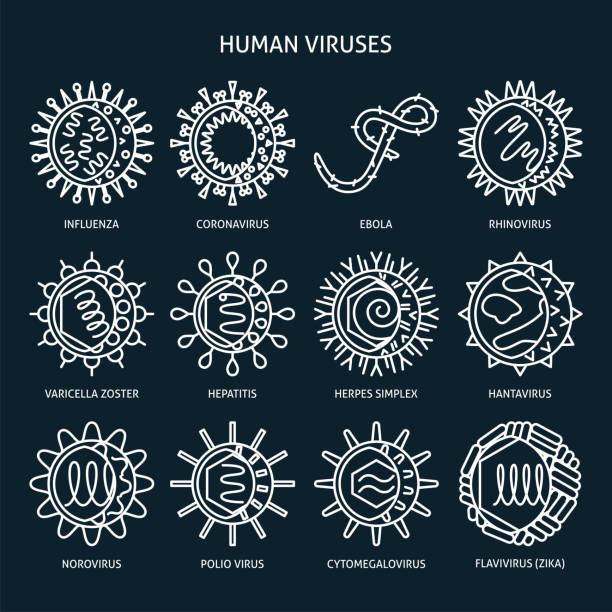 illustrazioni stock, clip art, cartoni animati e icone di tendenza di icona tipi di virus impostata nello stile di linea - vaiolo