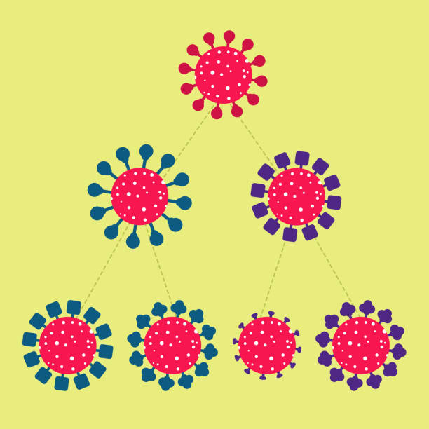 Virus variant, mutating Virus reproducing and mutating, producing variants, other versions of the original virus. Scheme and simplification of the mutation process. Isolated. omicron stock illustrations