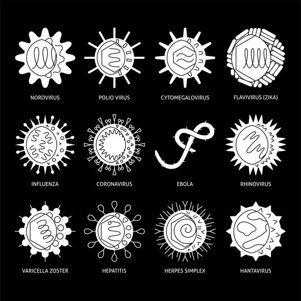 Viruses types icon set in flat style Virus types icon set. Human disease pathogen silhouette symbols collection. Vector illustration. polio stock illustrations