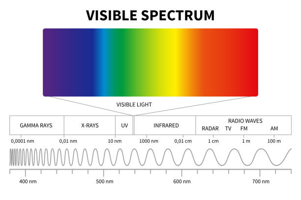 Visible light diagram. Color electromagnetic spectrum, light wave frequency. Educational school physics vector background Visible light diagram. Color electromagnetic spectrum, light wave frequency. Educational school physics vector background. Illustration of spectrum diagram rainbow, infrared and electromagnetic ultraviolet light stock illustrations