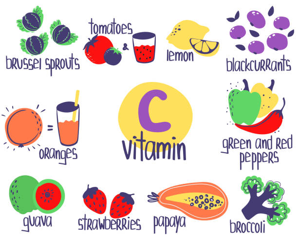 ilustrações de stock, clip art, desenhos animados e ícones de vitamin c food sources - alimentos sistema imunitário