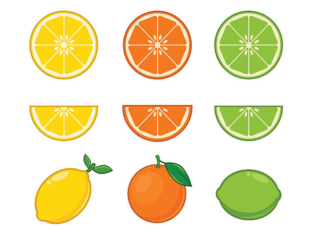 Vitamin C fruits  citrus stock illustrations