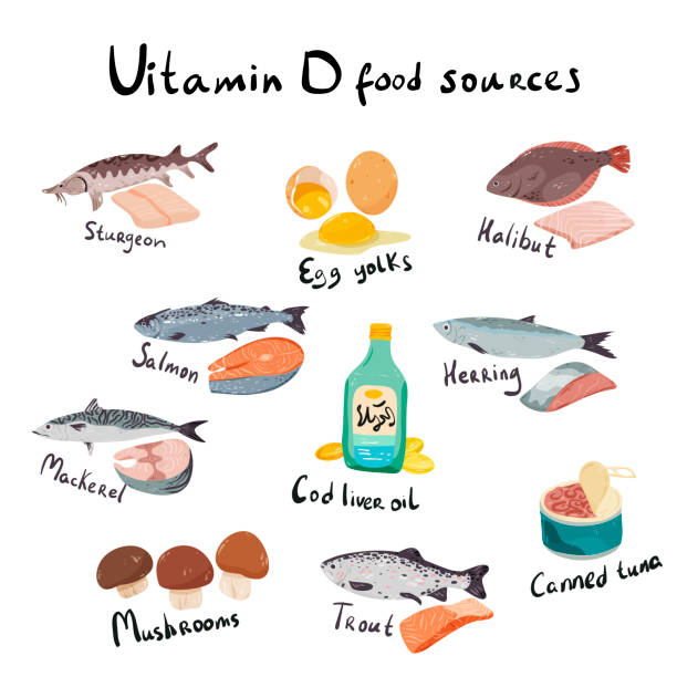illustrations, cliparts, dessins animés et icônes de illustration de vecteur de bannière d’information de sources alimentaires de vitamine d. - filet de poisson