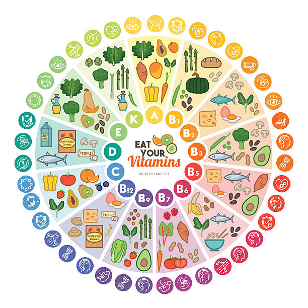 ilustrações de stock, clip art, desenhos animados e ícones de vitaminas fontes de alimentos - food wheel infographic