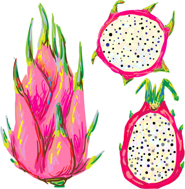 Vivid and Vibrant Dragon Vivid and Vibrant Dragon Fruit. rich strike stock illustrations