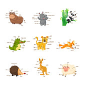 Illustration of isolation vocabulary part of body wild animals set.vector