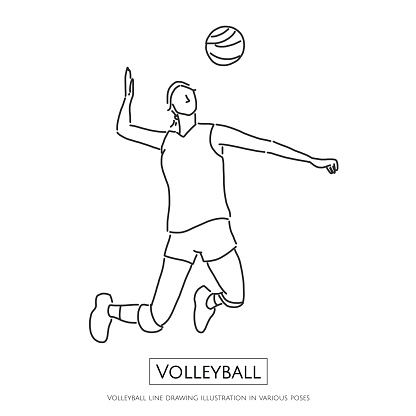 Volleyball Line Drawing Illustration In Various Poses Line Drawing ...