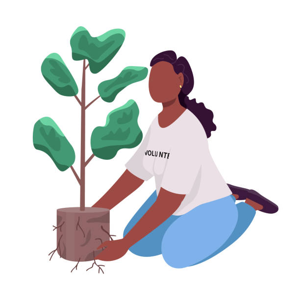Volunteer planting semi flat color vector character Volunteer planting semi flat color vector character. Sitting figure. Full body person on white. Ecology and greenery isolated modern cartoon style illustration for graphic design and animation gardening clipart stock illustrations