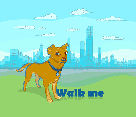 walk me dog