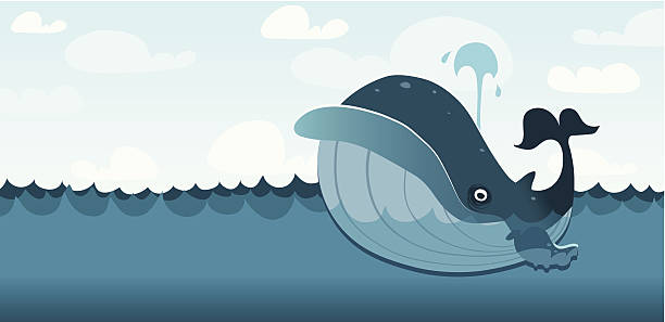 bildbanksillustrationer, clip art samt tecknat material och ikoner med wally the whale - blue whale