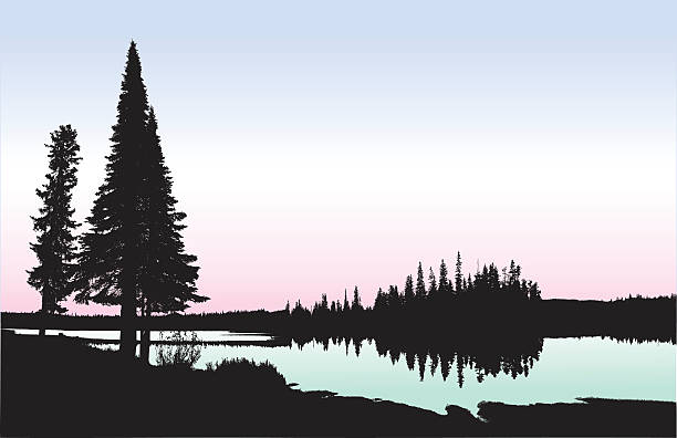 Washington Lakeshore A vector silhouette illustration of a tranquil lake surrounded by pine trees and forest.  The lake is coloured in a light green gradient with a pink and blue sky. lakes stock illustrations