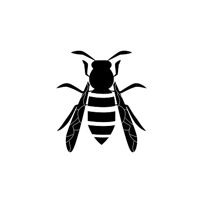 wasp icon. Elements of world of insects icon for concept and web apps. Illustration  icon for website design and development, app development. Premium icon