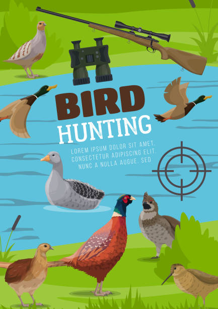 ilustrações de stock, clip art, desenhos animados e ícones de water and upland birds hunting vector poster - grouse flying