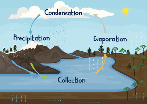 Water Cycle in nature