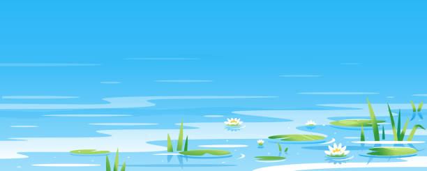 Water surface with water lilies Water surface with water lily and bulrush plants nature landscape illustration, fishing place, pond with blue water with green plants pond stock illustrations