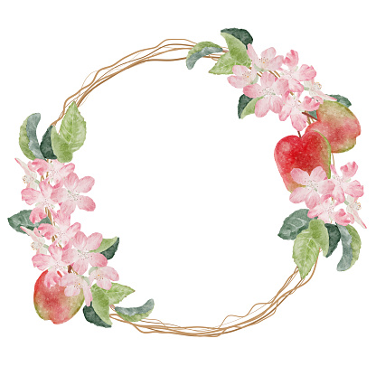 watercolor apple blossom and ripe fruit wreath frame with copy space for text isolated on white background