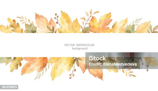 istock Watercolor autumn vector banner of leaves and branches isolated on white background. 843118814