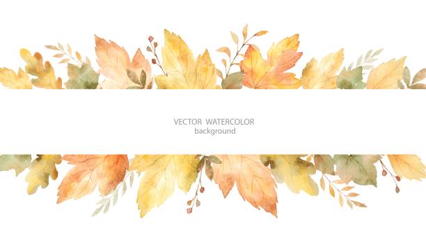 Watercolor autumn vector banner of leaves and branches isolated on white background. Watercolor vector banner of leaves and branches isolated on white background. Autumn illustration for greeting cards, wedding invitations, quote and decorations. falling illustrations stock illustrations