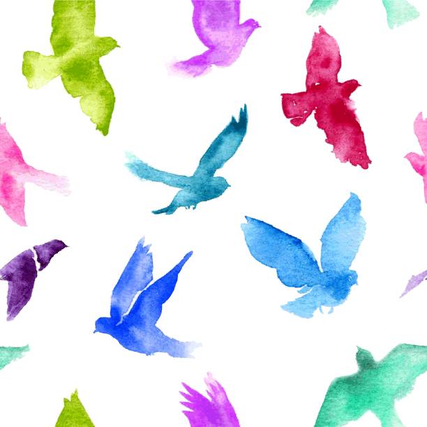 Watercolor birds. - Vector Watercolor birds. - Vector bird designs stock illustrations