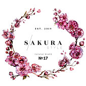 Watercolor Floral Wreath made of Blooming Pink Sakura Flower Branches. Vintage Style Botanical Illustration of Japanese Cherry Tree Flowers Garland Isolated on White Background. Pink Blossoms Floral Wedding Decoration.