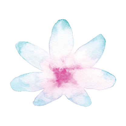 Watercolor Blue and Pink Flower
