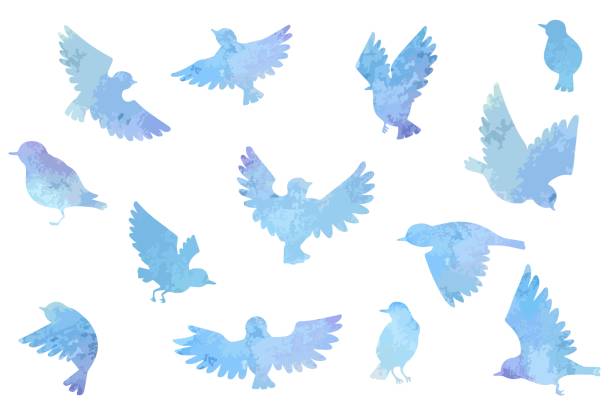 Spread Wings Vector Art Icons And Graphics For Free Download