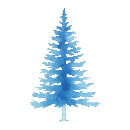 Watercolor Blue Pine Tree