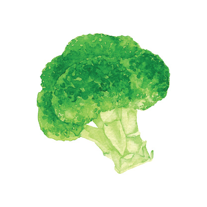 Watercolor Broccoli