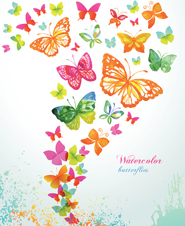 Watercolor butterflies and splash. Vector background.