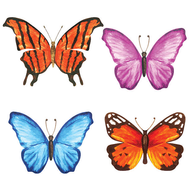 Watercolor butterflies Watercolor colorful butterflies set closeup isolated on white background. Hand painting on paper pink monarch butterfly stock illustrations
